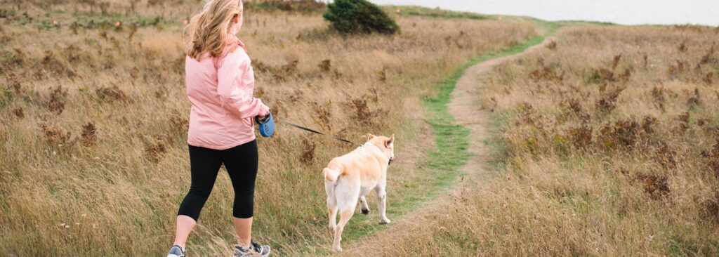 Dog-Friendly Hiking Trails: Exploring the Great Outdoors with Your Furry Friend